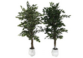 Pianta artificiale Ficus con vaso - 180h cm 1344 foglie