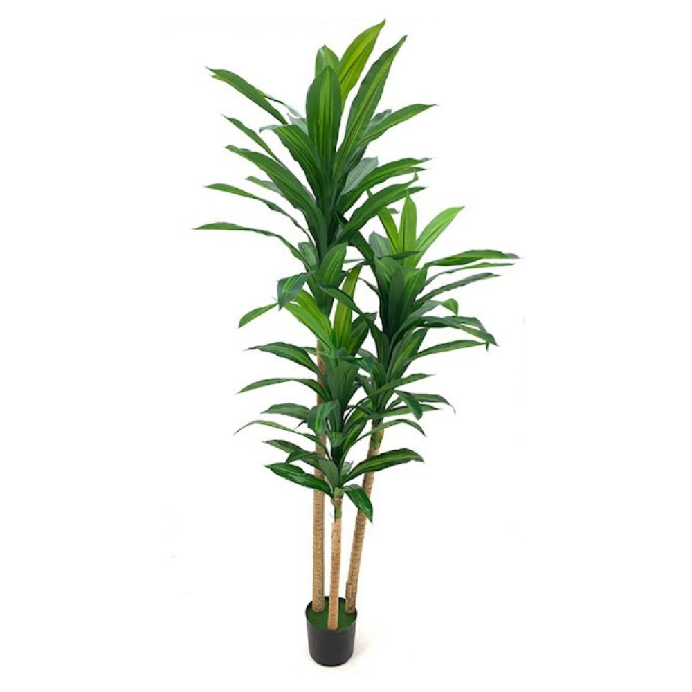 Plante artificielle Dracaena effet réaliste 81 feuilles avec pot 180H cm
