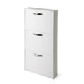 Meuble à chaussures 3 portes peu encombrant blanc frêne 65x15x108H cm - Serena