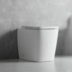 WC à poser au sol, en céramique, blanc brillant FT54D