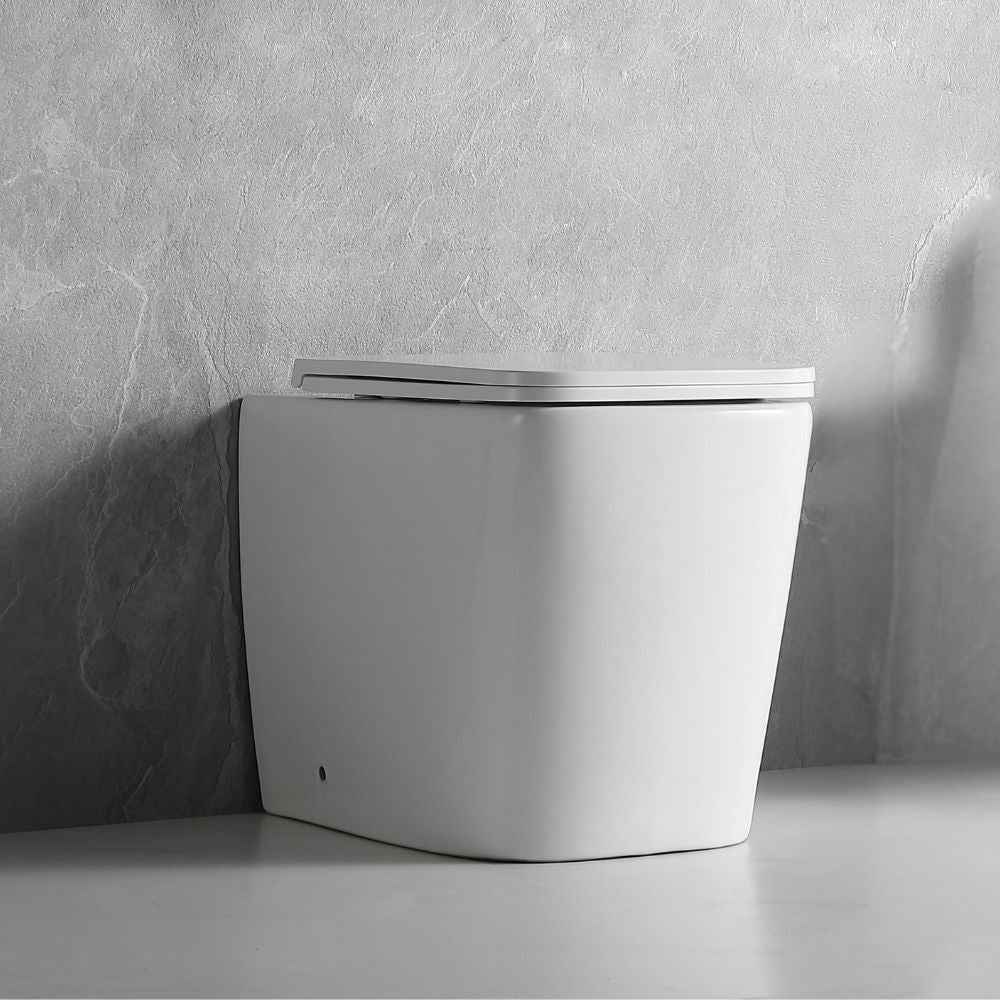 WC à poser au sol, en céramique, blanc brillant FT54D