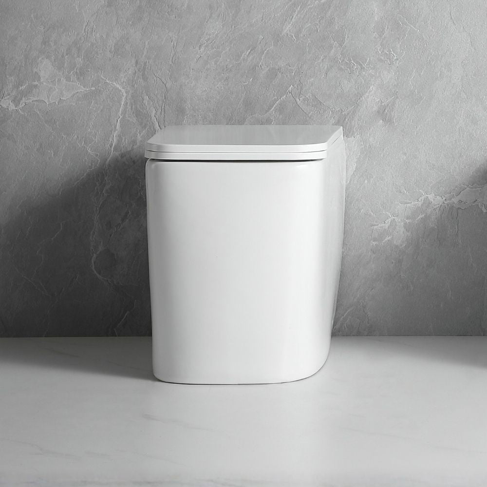WC à poser au sol, en céramique, blanc brillant FT54D