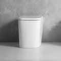 WC à poser au sol, en céramique, blanc brillant FT54D