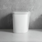 WC à poser au sol, en céramique, blanc brillant FT54D