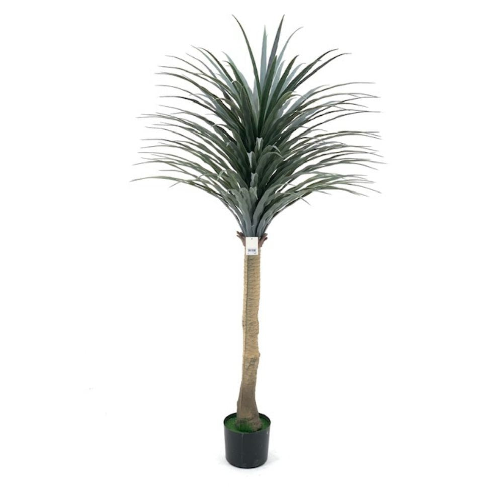 Set Illuminazione Specchiere