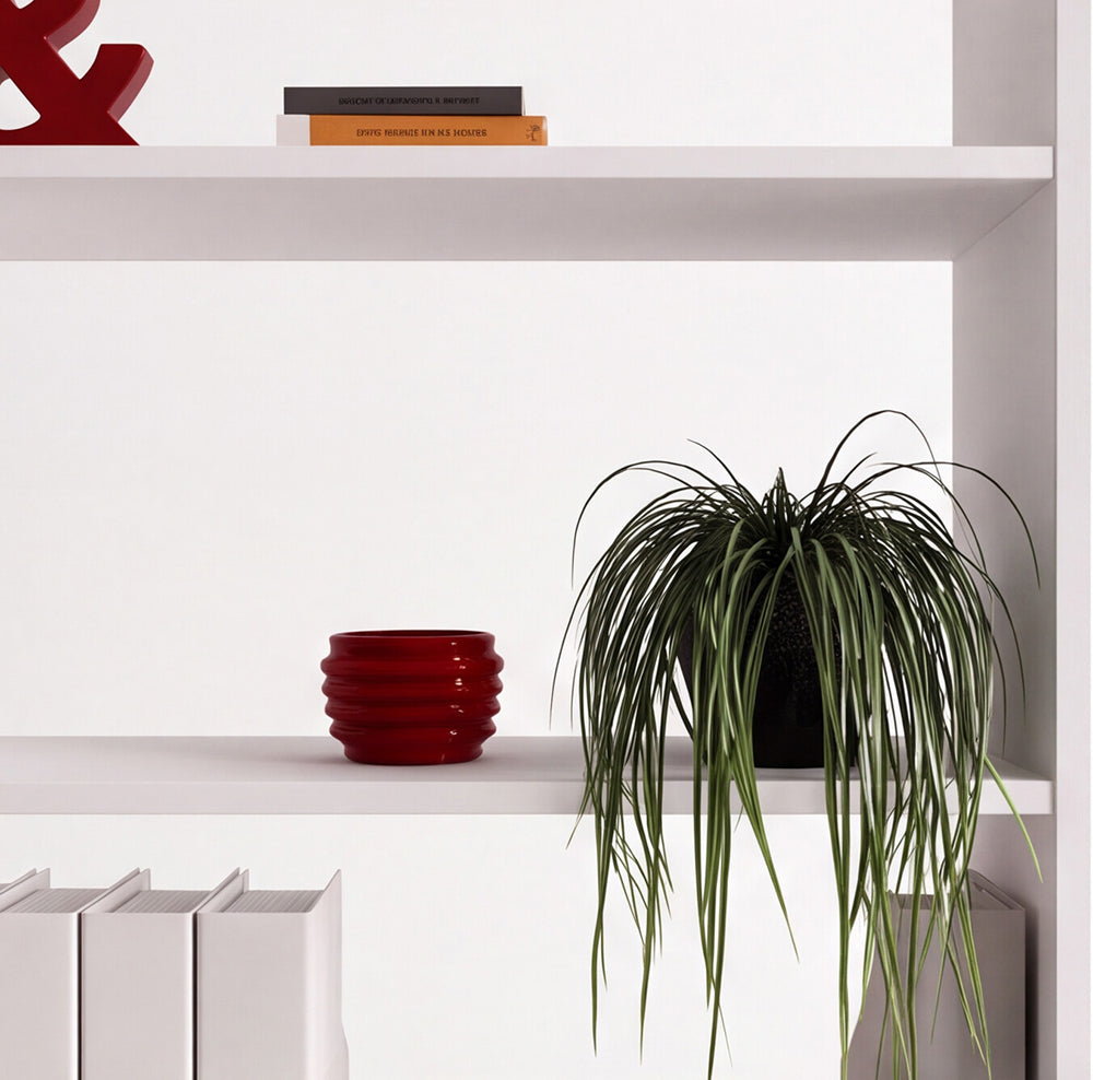 Libreria con 2 ante e 4 vani a giorno colore bianco 98.7x35.2x230H Miraflor