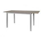 Rechteckiger Tisch 120x80, weißes Gestell und graue Lärche-Platte, Monster